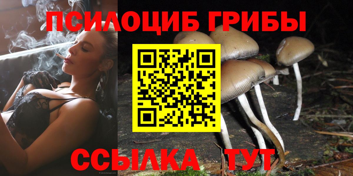 Тавда  Псилоцибиновые грибы MAGIC MUSHROOMS  Вход с VPN 